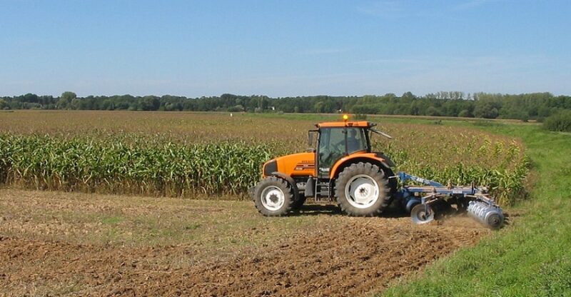 master en economia agricola